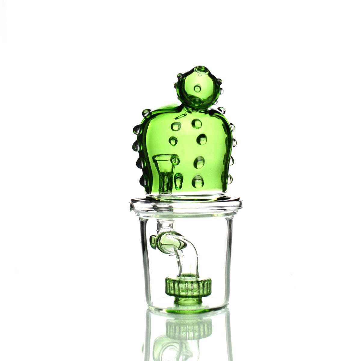 Elegante bong de agua de cactus de 6" con ducha redonda y cuenco macho de 14 mm