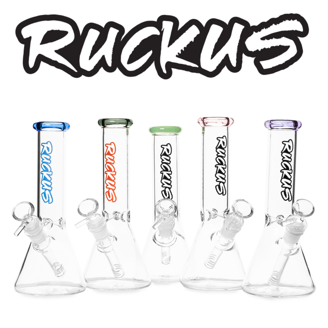 Ruckus Glass 8" Beaker Assorted Bundle - (5pc)